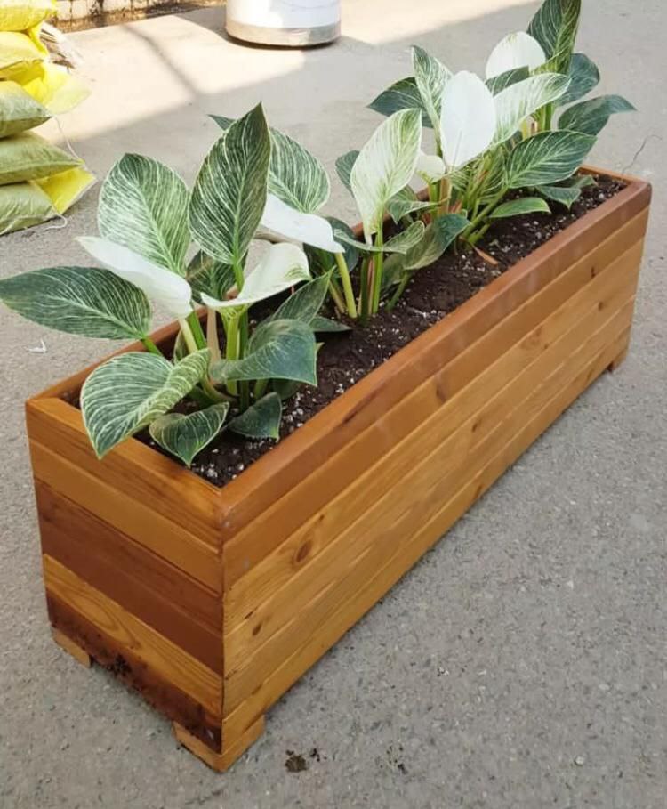 باکس چوبی ترمووود مستطیلی