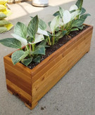 باکس چوبی ترمووود مستطیلی