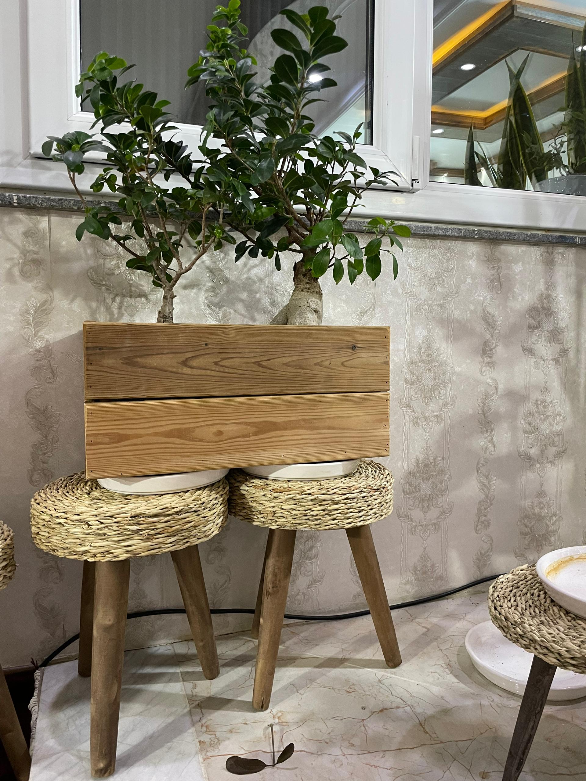 فلاور باکس گلدان چوبی