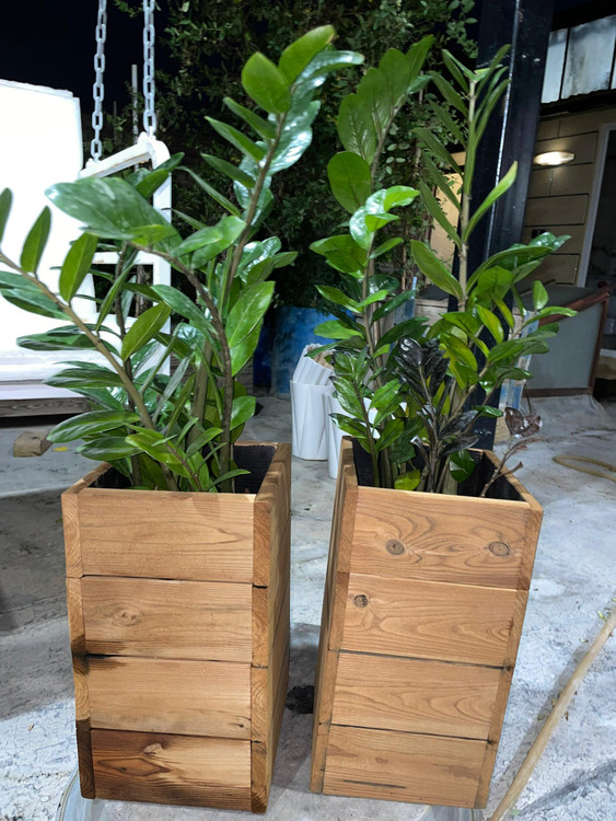 گلدان ترموود