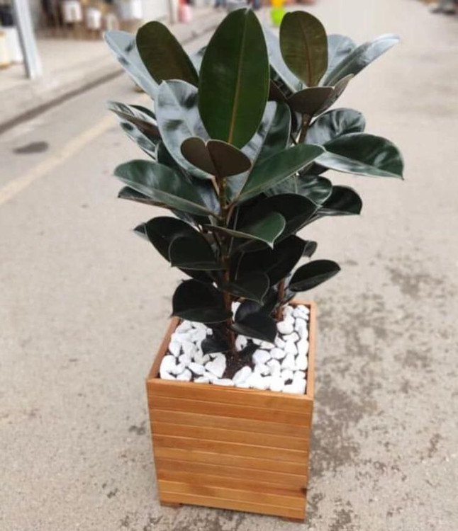 باکس مربعی ترموود