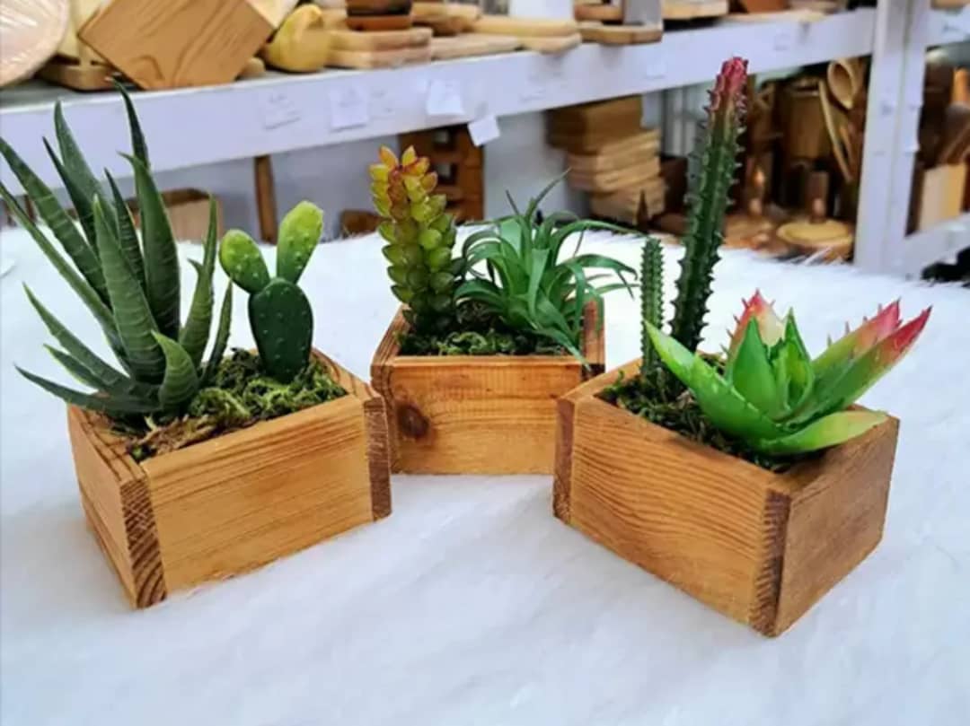 فلاور باکس ترمووود سه عددی