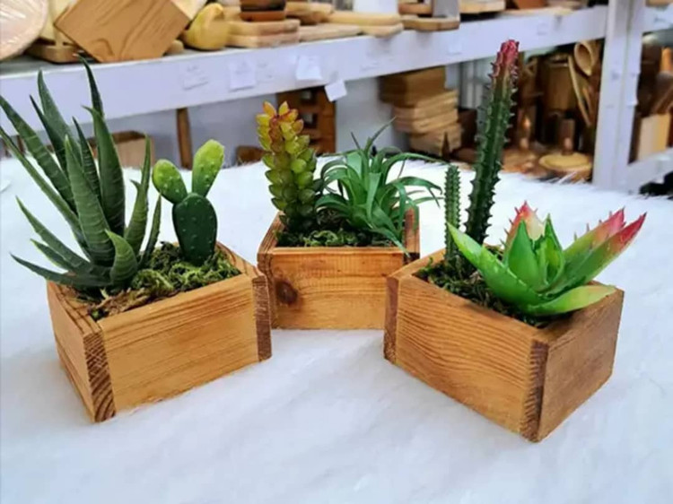 فلاور باکس ترمووود سه عددی