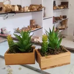 فلاور باکس ترمووود دوتایی