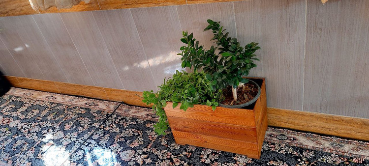 قیمت گلدان ترموود