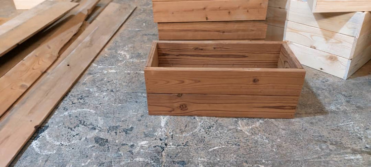 قیمت گلدان ترموود