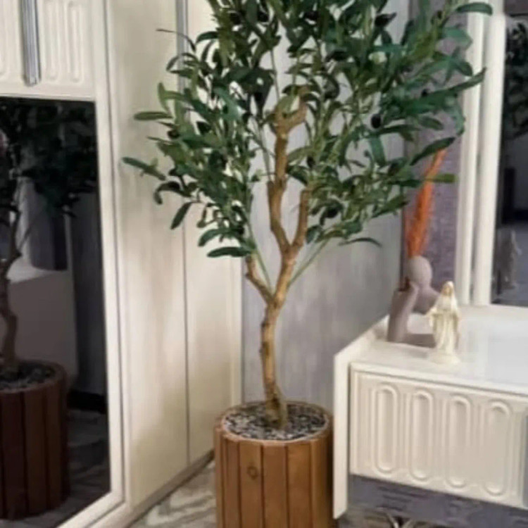 پخش گلدان ترمو