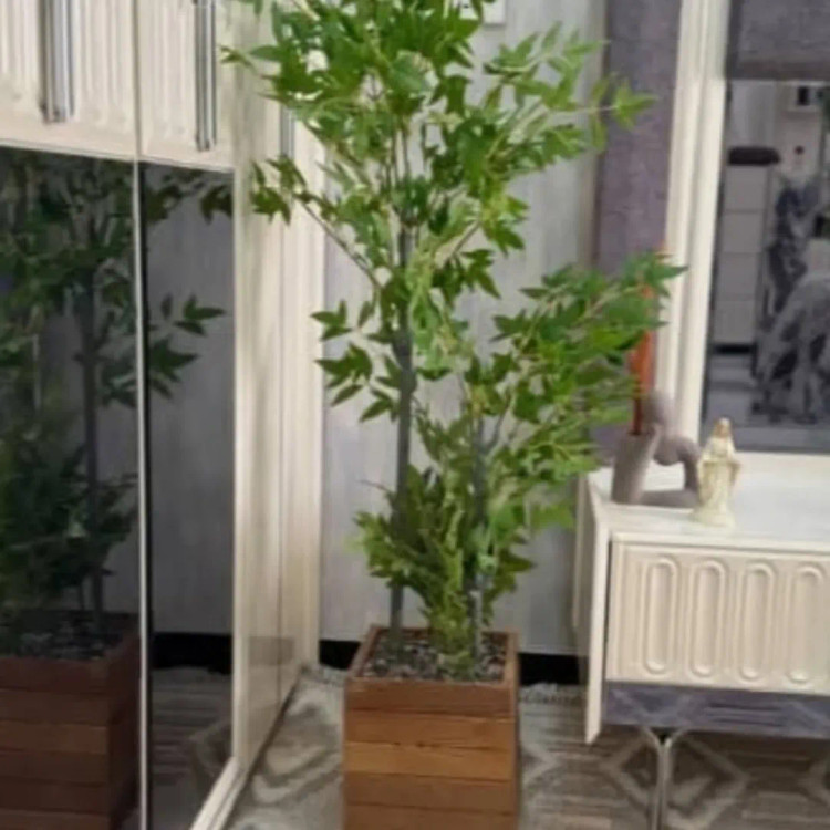 خرید گلدان گرد ترموو