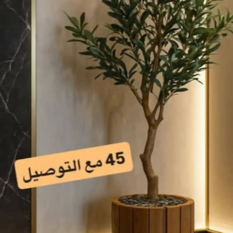 خرید و قیمت گلدان گرد ترموود