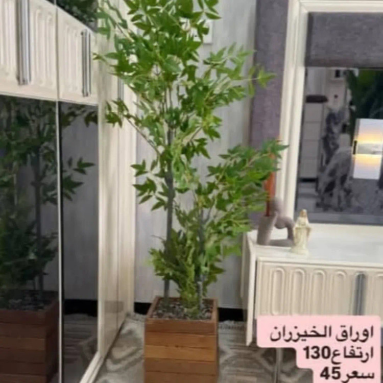 از کجا گلدان ترموود بخرم