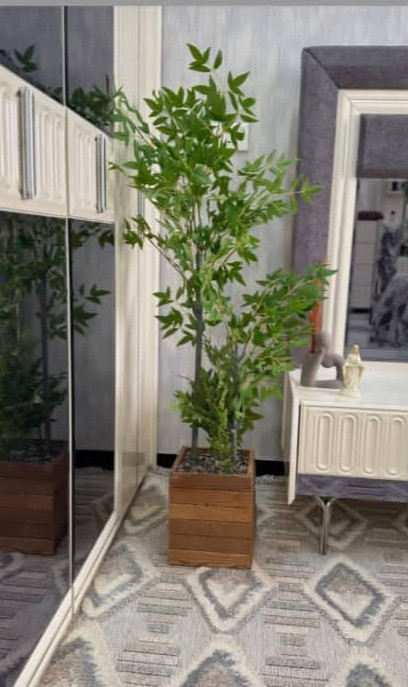 گلدان برای درخچه