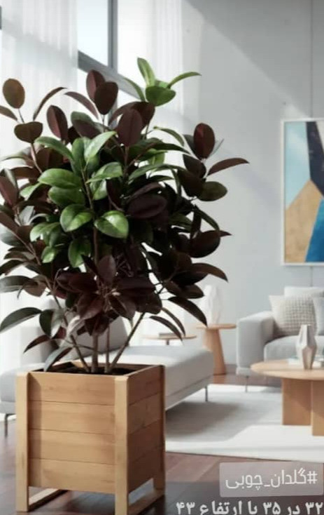 فلاور باکس ترموود