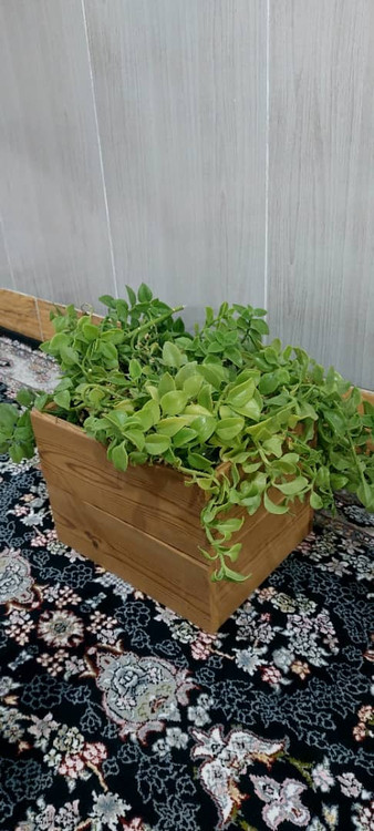 خرید فلاور باکس کوچیک ترموود