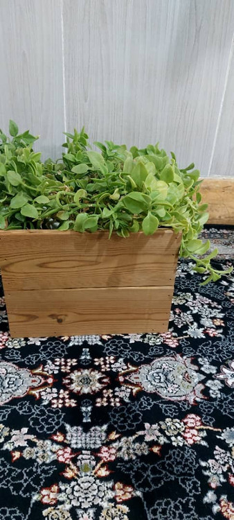 تولیدی فلاور باکس کوچیک