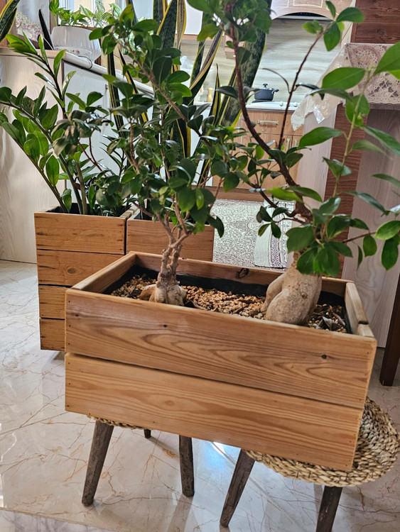 خرید گلدان ترموود