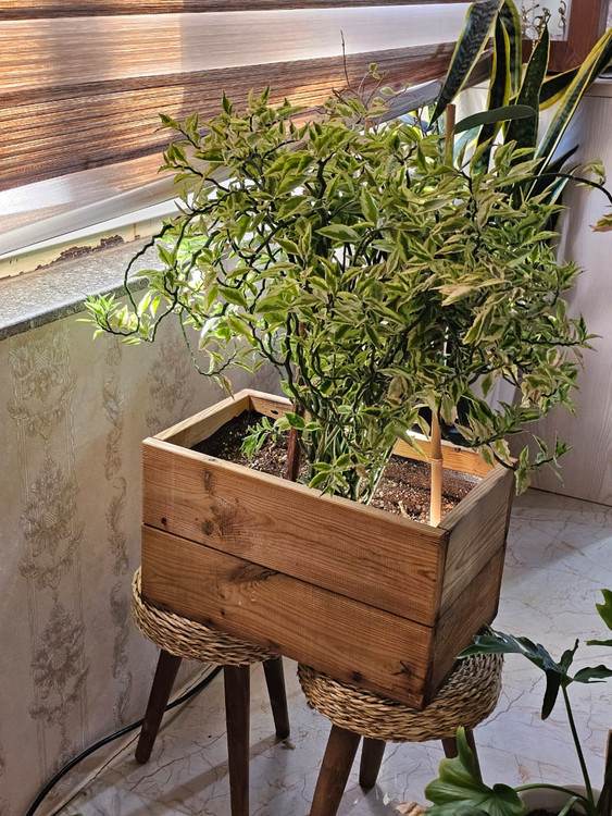 فلاور باکس چوبی ترموود بنسایی