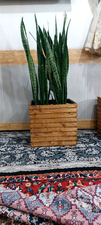 فلاور باکس ترموود ضد اب