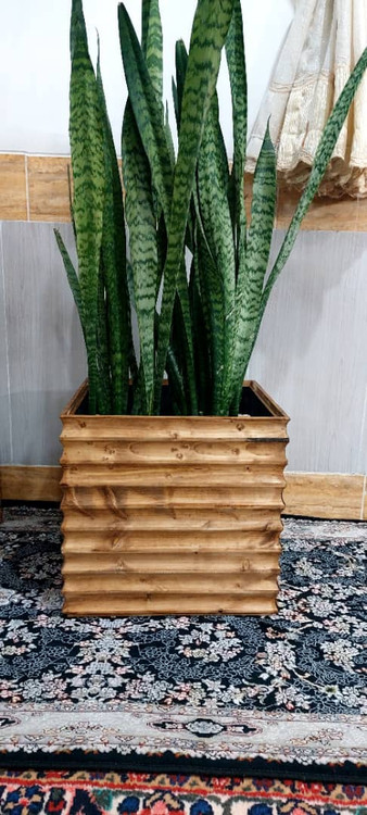 خرید فلاور باکس ترموود