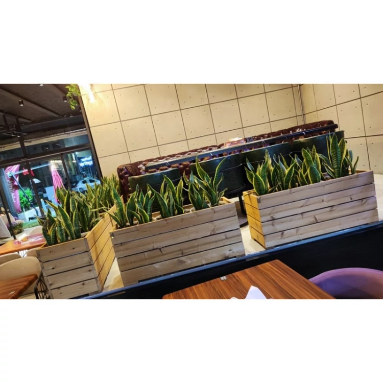 خرید و قیمت فلاور باکس ترموود