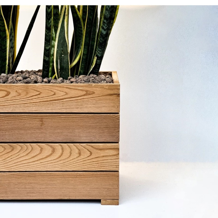 قیمت گلدان ترموود ضداب با گلدان پلاستیکی