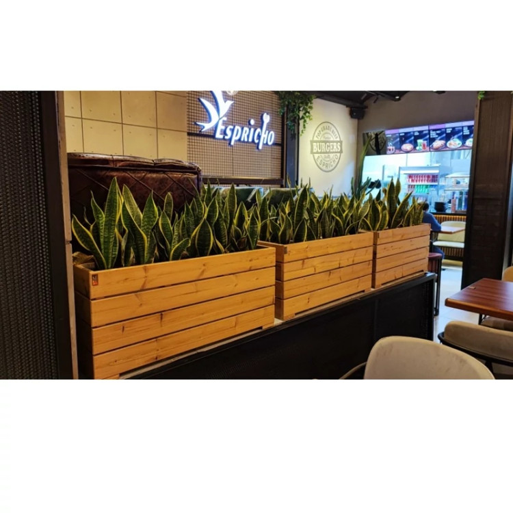 ابعاد مختلف گلدان ترموود