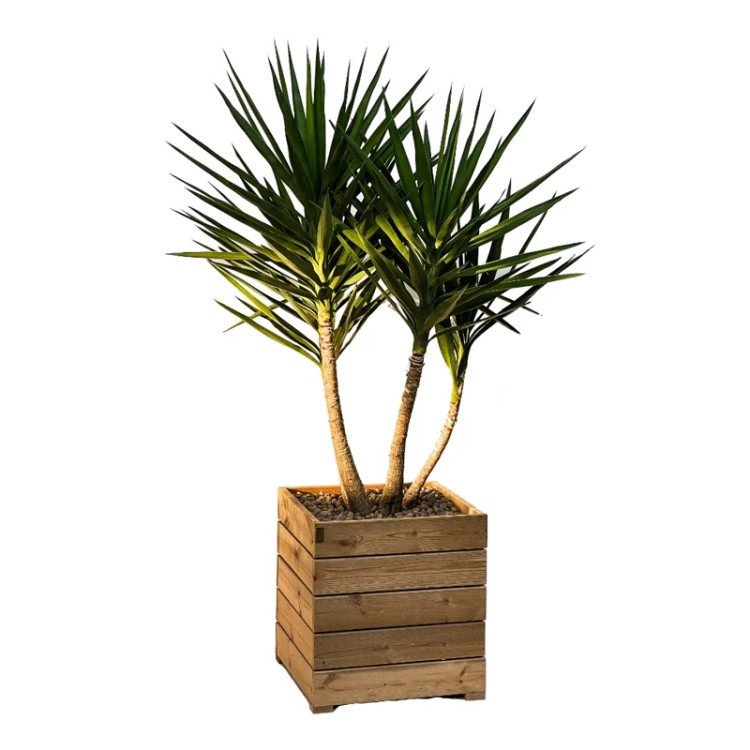 تولیدی گلدان ترمو