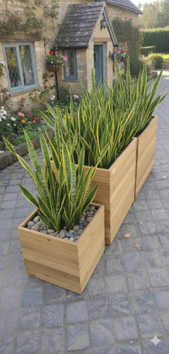 خرید و قیمت فلاور باکس ترموود