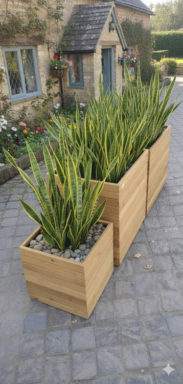 خرید و قیمت فلاور باکس ترموود