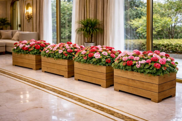 گلدان ترموو