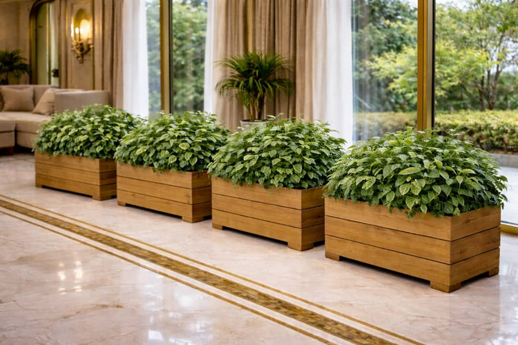 قیمت گلدان ترموود