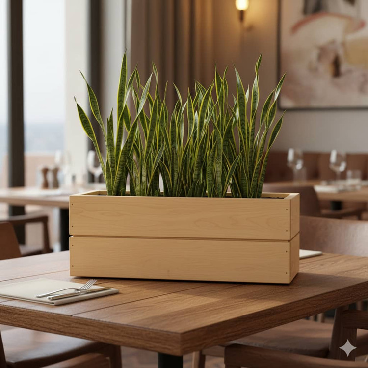 قیمت و خرید گلدان ترموود