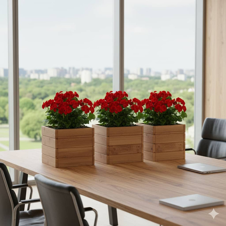 تولیدی فلاور باکس ترموود