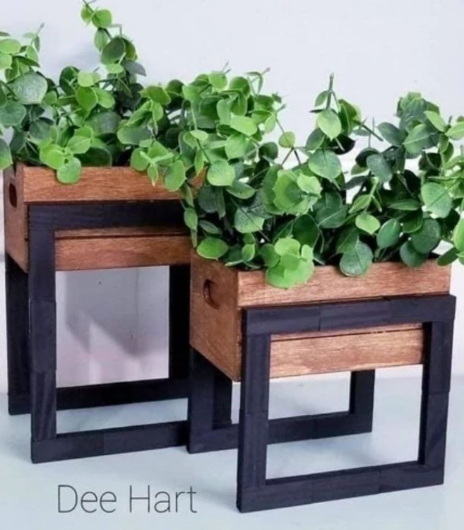 خرید فلاور باکس کاکتوسی