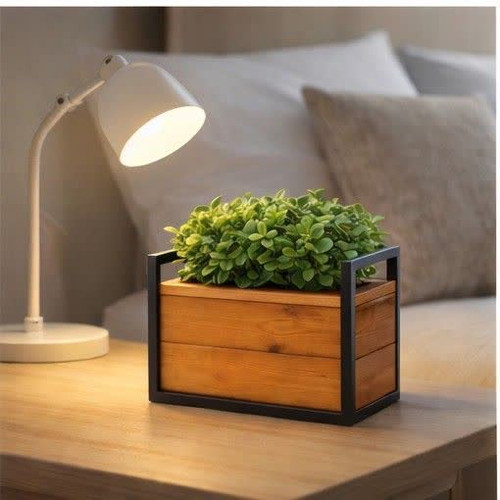 خرید فلاورباکس ترموود