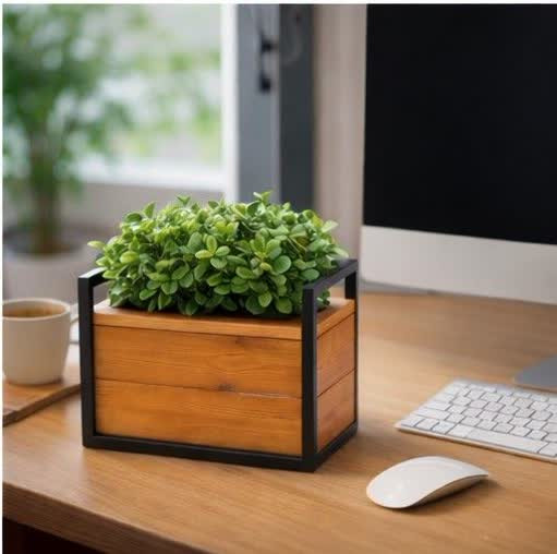 قیمت و خرید فلاورباکس ترموود