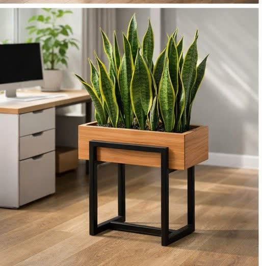 خرید فلاور باکس ترموود