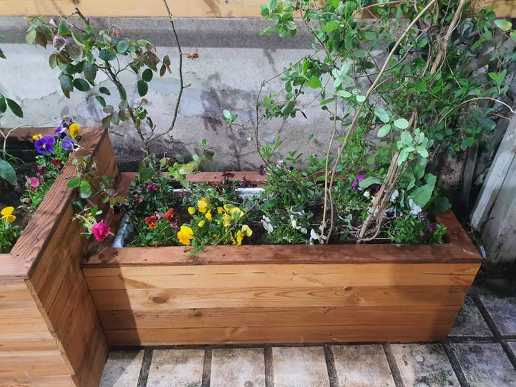 خرید فلاور باکس لبه دار