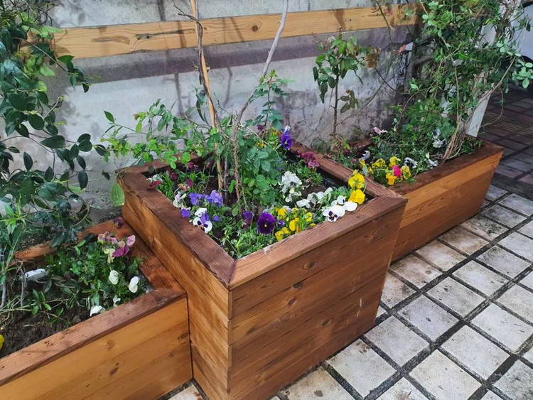 باکس های ترموود